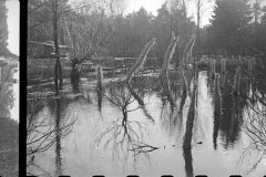 Jeziorka, 1950-1970, fot. Maria Chrząszczowa