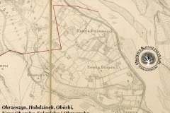 Kępy nadwiślańskie, XIX w.