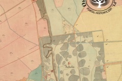 Natolin i Wolica, 1859