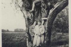 Obory