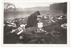 Pogrzeb powstańców warszawskich w Powsinie 28 marca 1945 r.