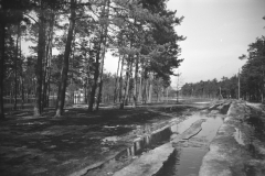 Wylanie Jeziorki w marcu 1947 r na terenie Konstancina - skrzyżowanie ulic Piłsudskiego i Piasta (fot. Maria Chrząszczowa ze zbiorów Fundacji Archeologia Fotografii)