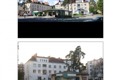 Grapa przy ul. Wilanowskiej