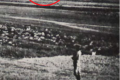 Wiatrak w Bielawie, 1912 r.