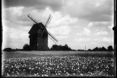 3_131_0_-_448_27282000-2048x1579