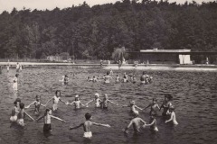 Basen, 1965 r (fotopolska)