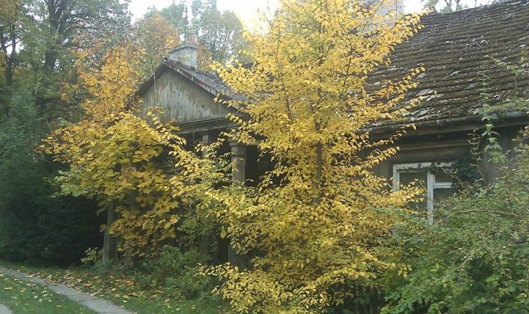 Tropem Turowic i Kawęczyna (3)