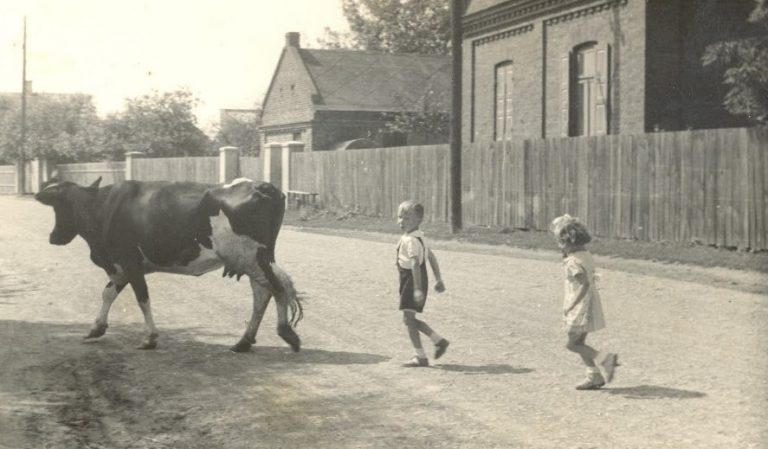 Początki Opaczy