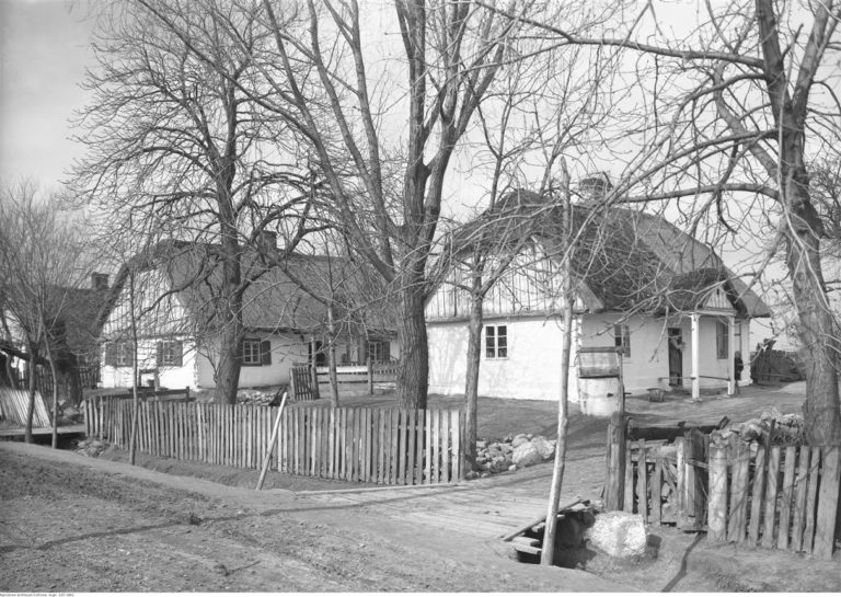 W kręgu oszustów