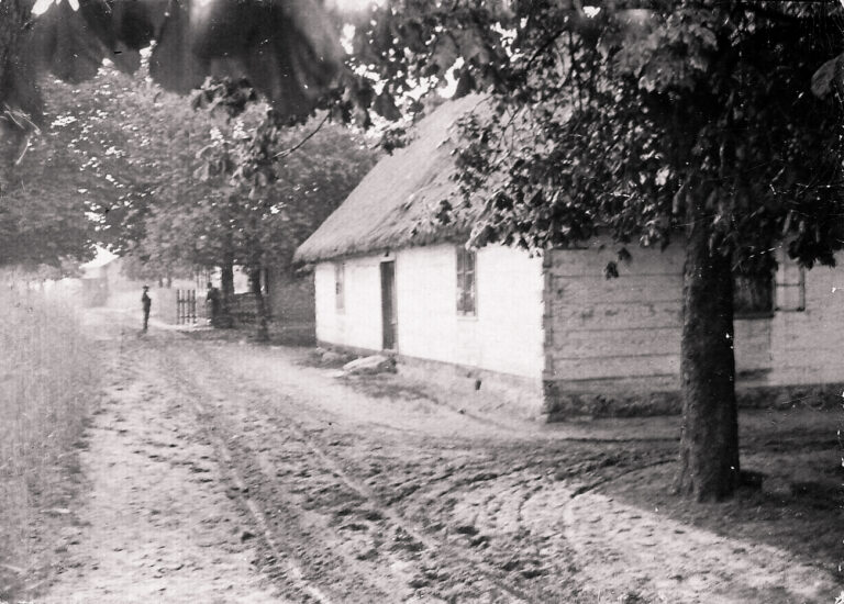 Zajścia w Bielawie