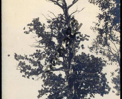 Świadectwa codzienności: Pocztówka z wakacji