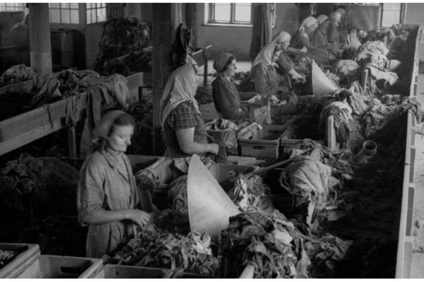 Z akt Powiatowego UBP w Piasecznie: Na wojnie z AK i Dywersją w fabryce w Mirkowie (2)