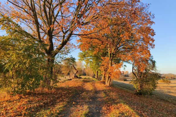O przyszłości Urzecza